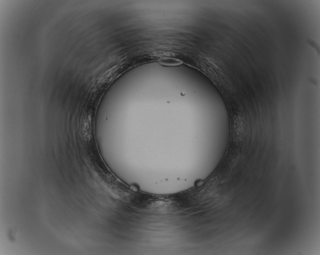 X0000103220364200809111513