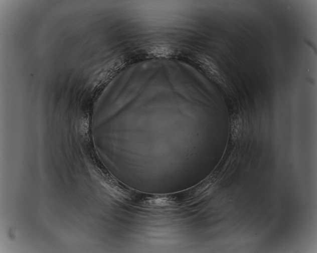 X0000103220365200809111513