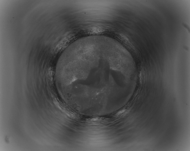 X0000103220366200809111513