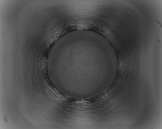 X0000103220367200809111513