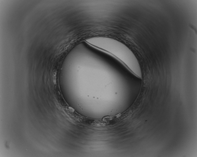 X0000103220368200809111513