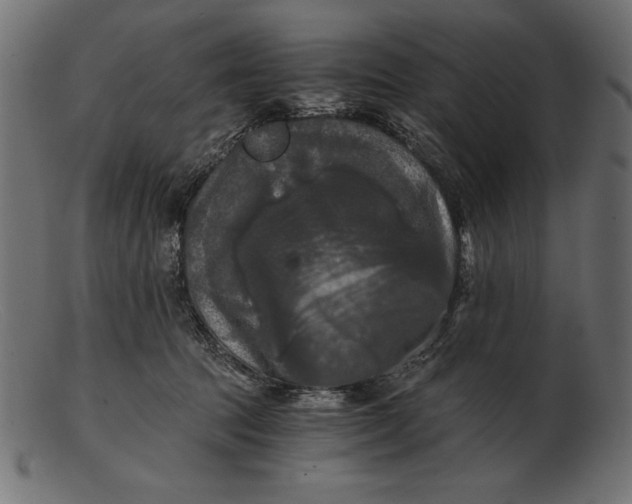 X0000103220369200809111513