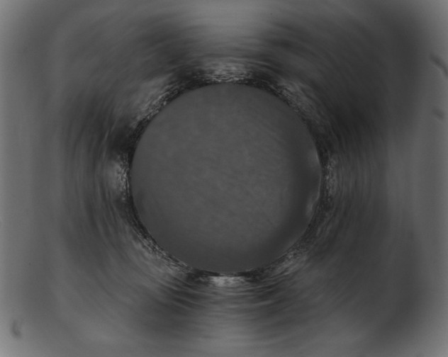 X0000103220371200809111513