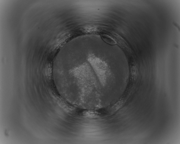 X0000103220372200809111513