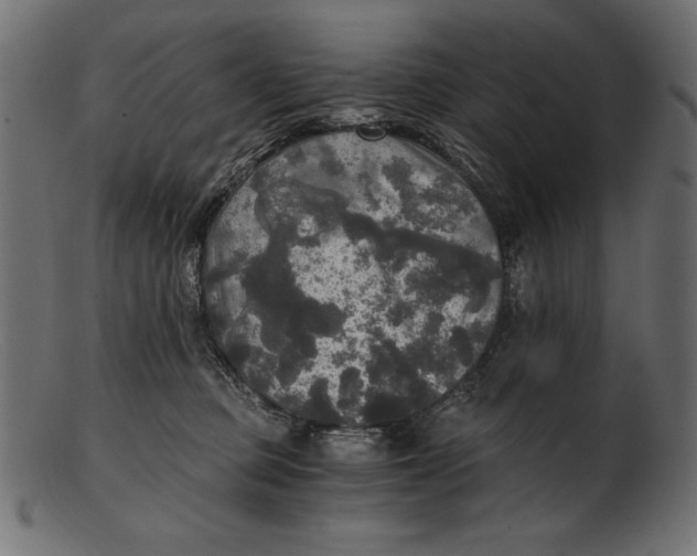 X0000103220373200809111513