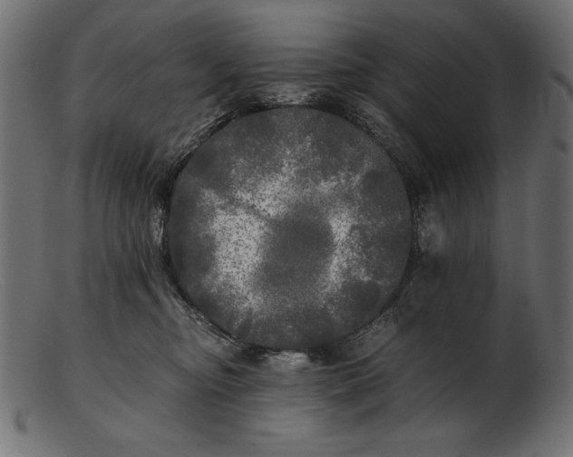 X0000103220374200809111513