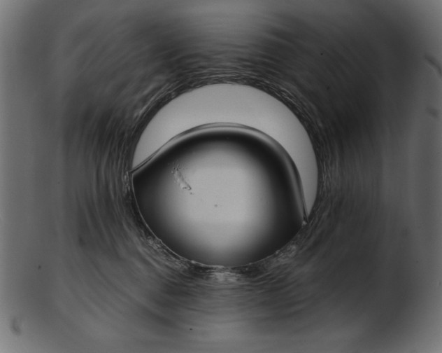 X0000103220376200809111513