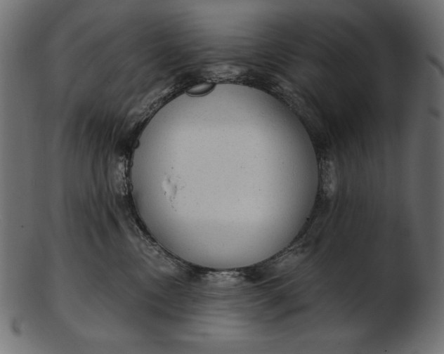 X0000103220378200809111513