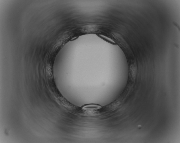 X0000103220380200809111513