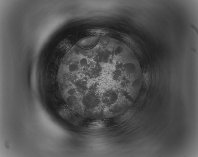 X0000103220381200809111513