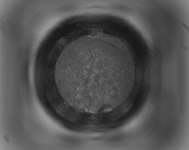 X0000103220383200809111513