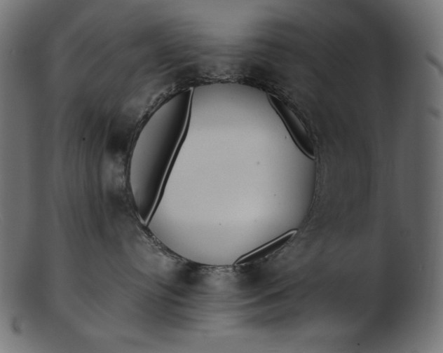 X0000103220384200809111513