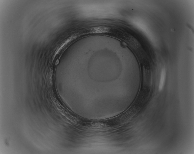 X0000103220387200809111512