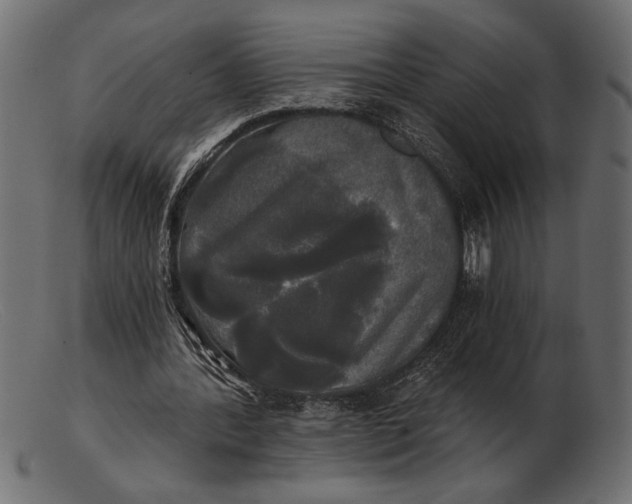 X0000103220388200809111512