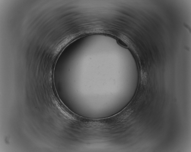 X0000103220389200809111512