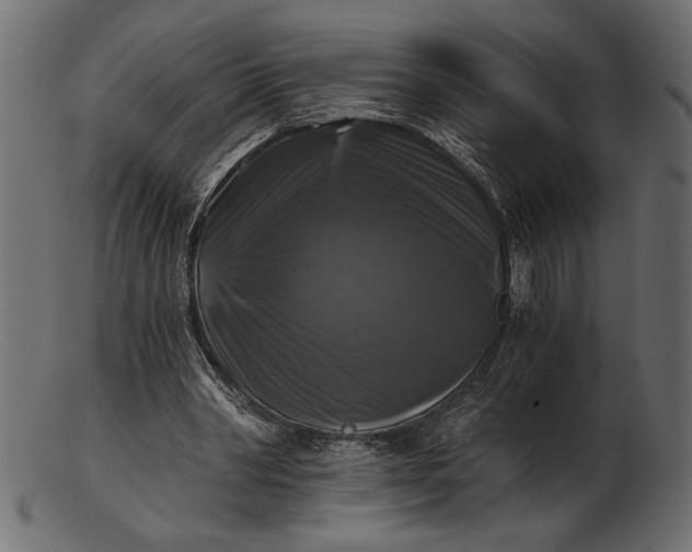 X0000103220390200809111512