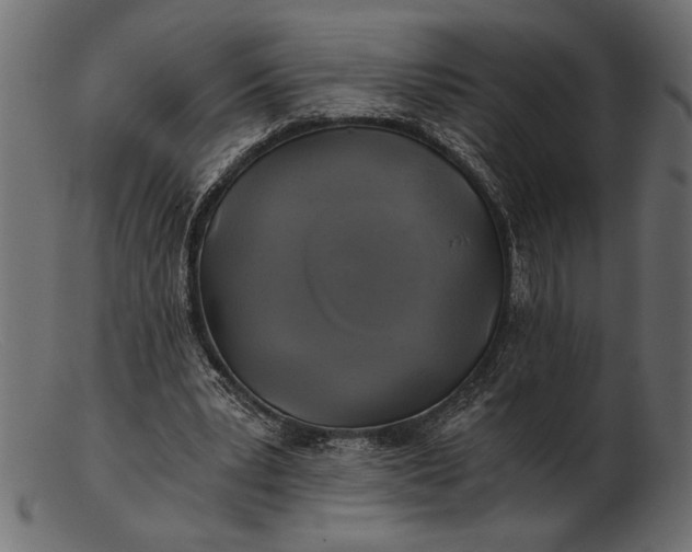 X0000103220391200809111512