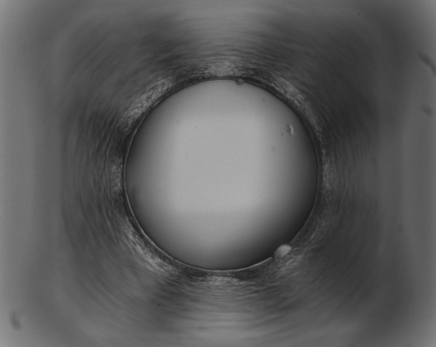 X0000103220393200809111512