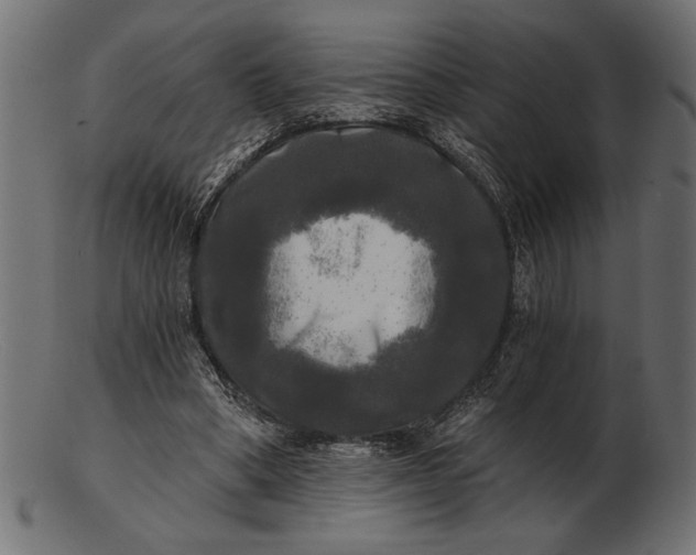 X0000103220394200809111512