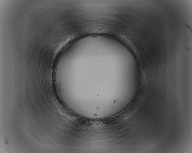 X0000103220395200809111512