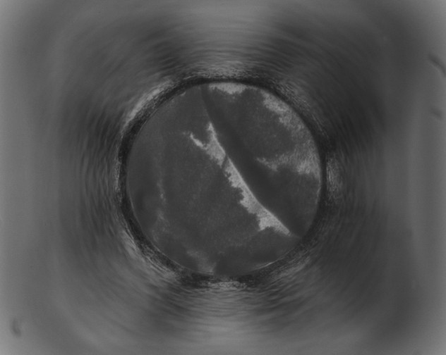 X0000103220396200809111512