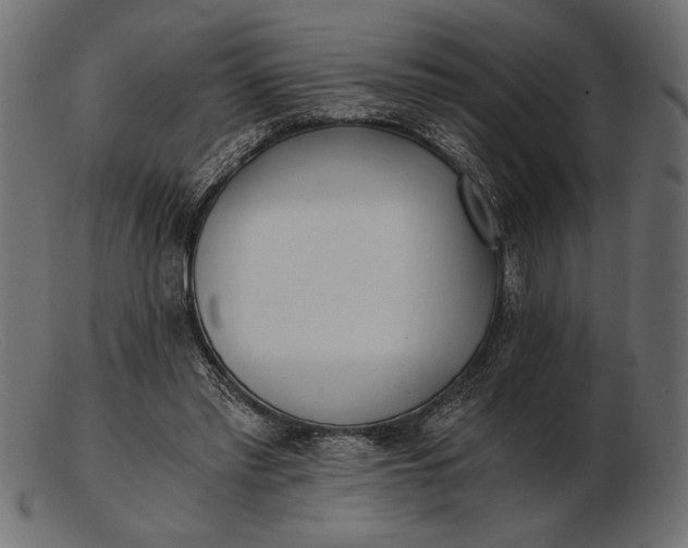 X0000103220397200809111512