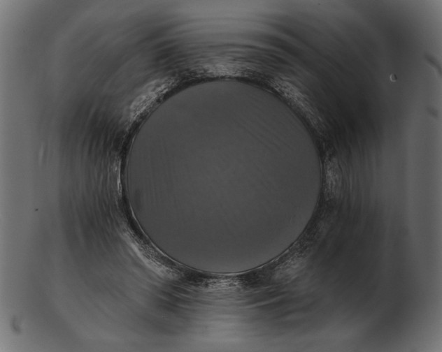 X0000103220398200809111512