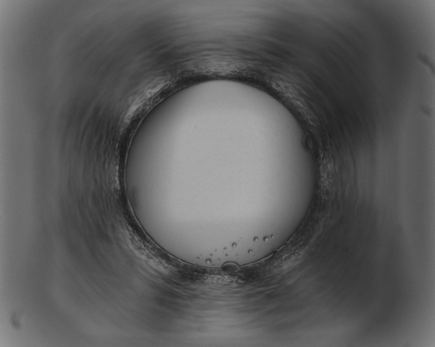 X0000103220399200809111512