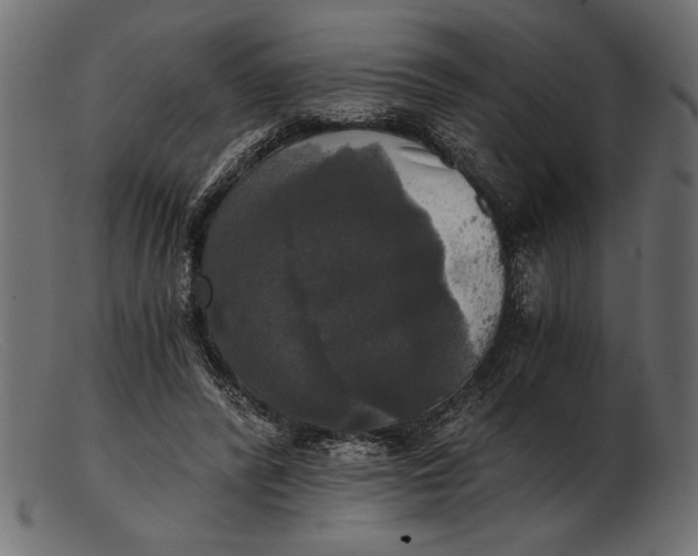 X0000103220400200809111512