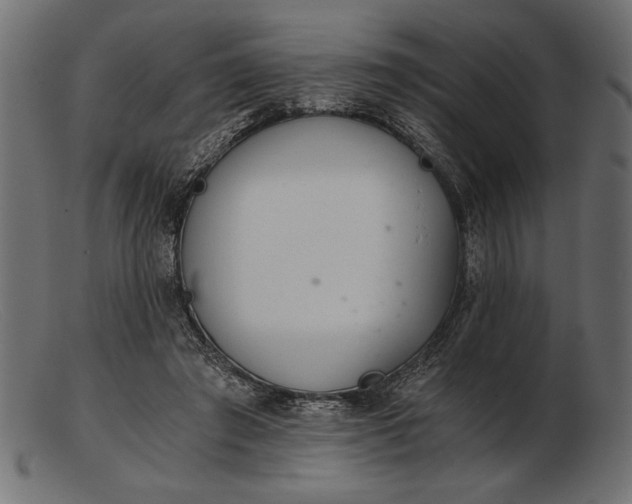 X0000103220401200809111512