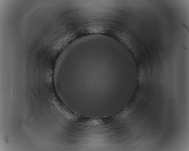 X0000103220402200809111512