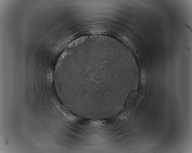 X0000103220405200809111512