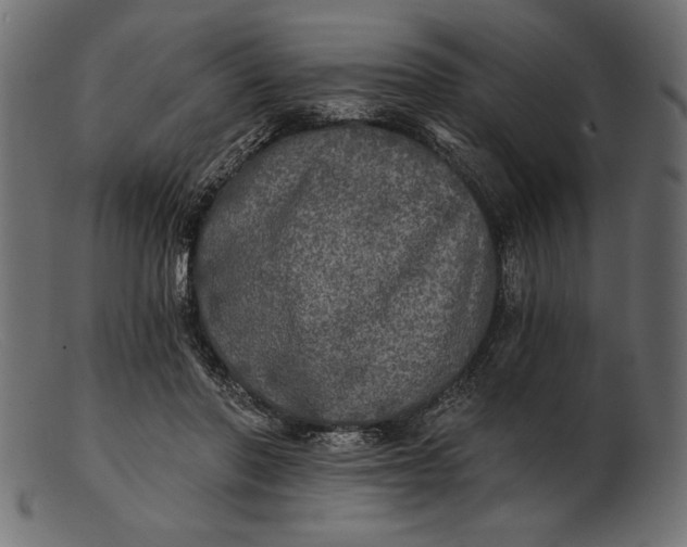 X0000103220406200809111512