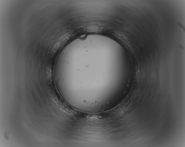 X0000103220407200809111512