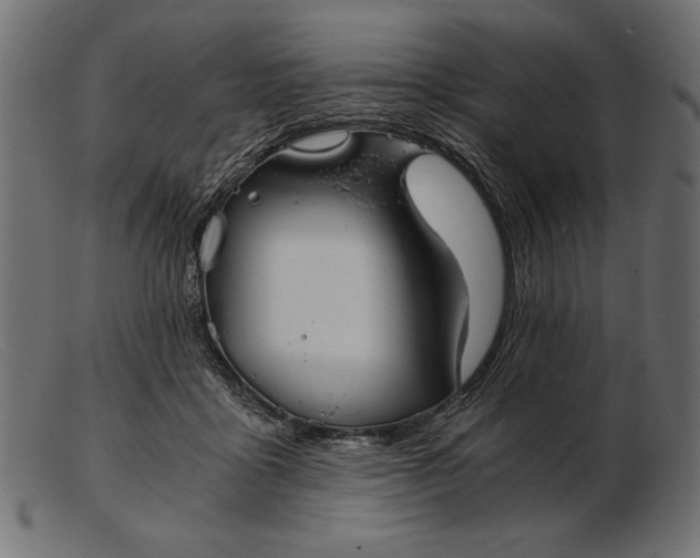 X0000103220411200809111512