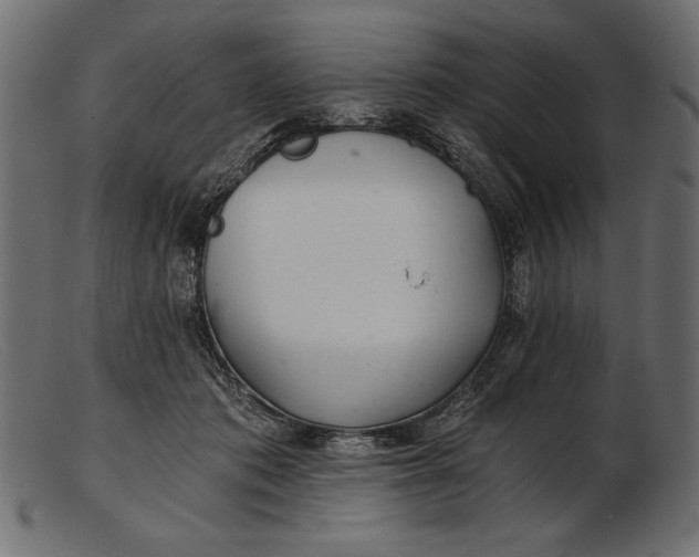 X0000103220413200809111512