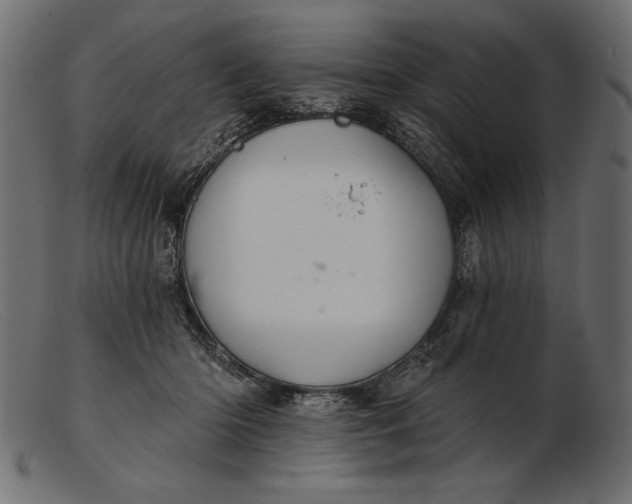 X0000103220414200809111512