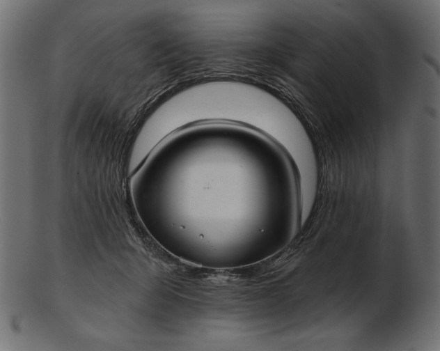 X0000103220415200809111512