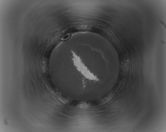 X0000103220416200809111512