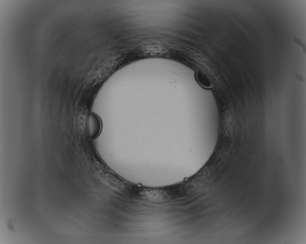 X0000103220417200809111512