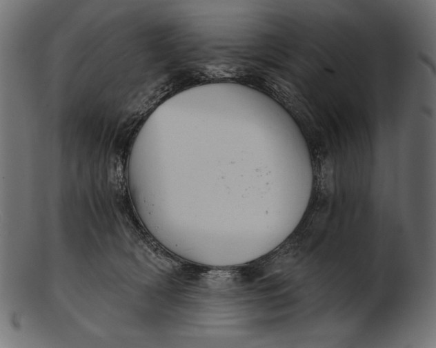 X0000103220418200809111512