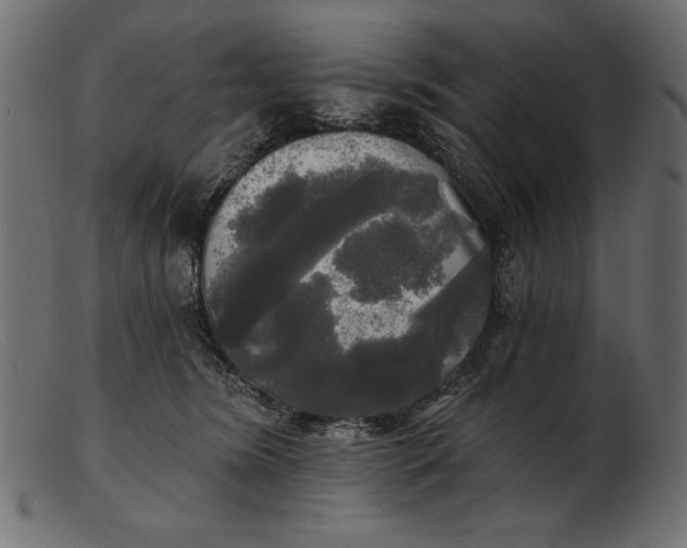 X0000103220420200809111512