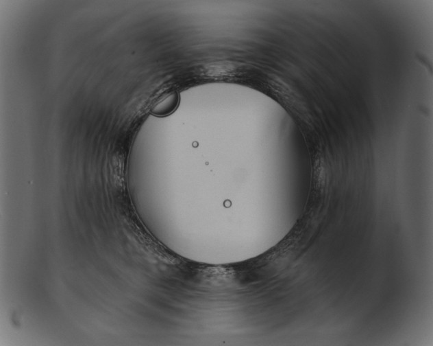 X0000103220421200809111512