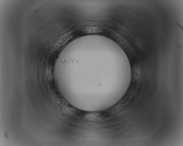 X0000103220422200809111512