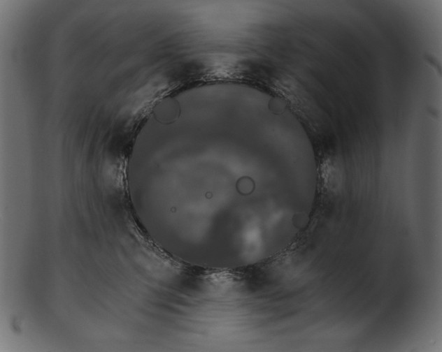 X0000103220423200809111512