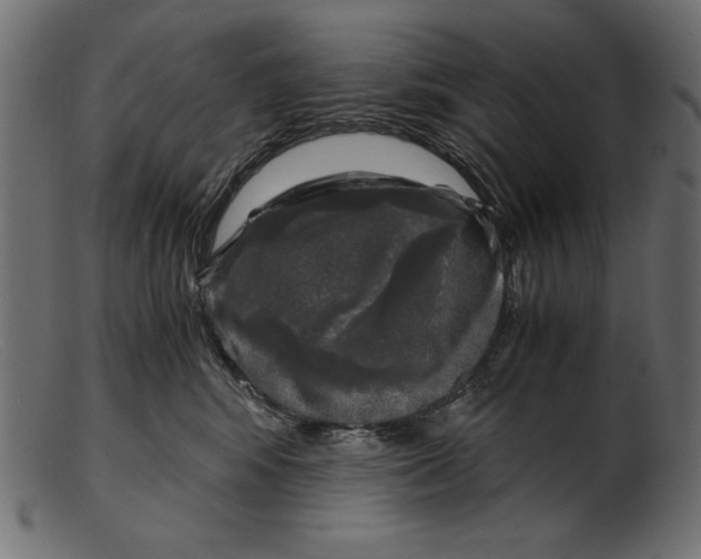 X0000103220424200809111512