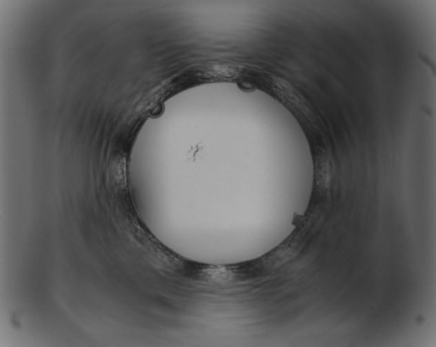 X0000103220425200809111512