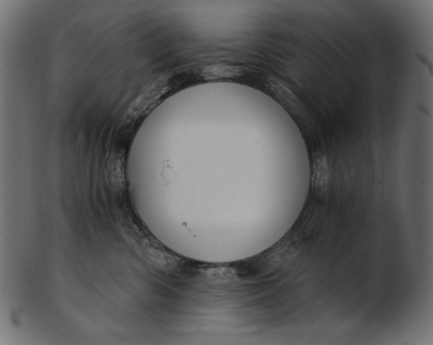 X0000103220426200809111512