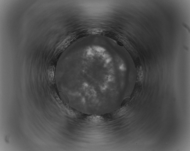 X0000103220427200809111512