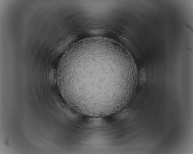 X0000103220428200809111512